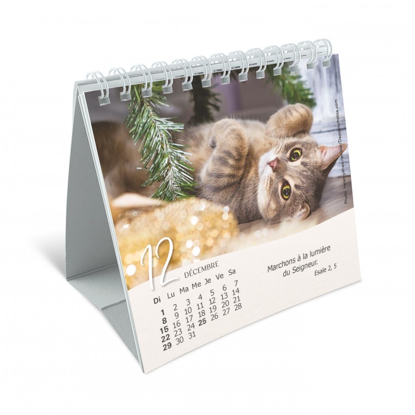 Nos amis les chats - Petit calendrier avec 12 belles photos de