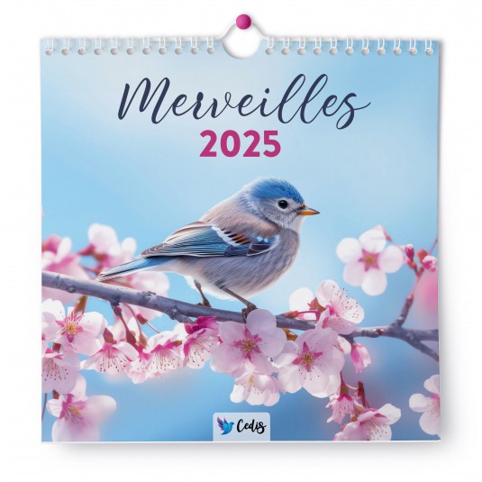 CAL. 2025 Merveilles sans textes