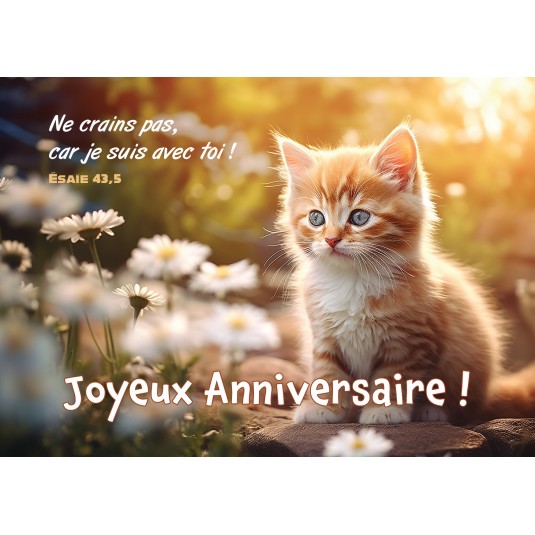 Carte Avec Verset Ja Chaton au milieu de fleurs blanches