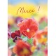 Carte avec message Fleurs rouges dans un champ