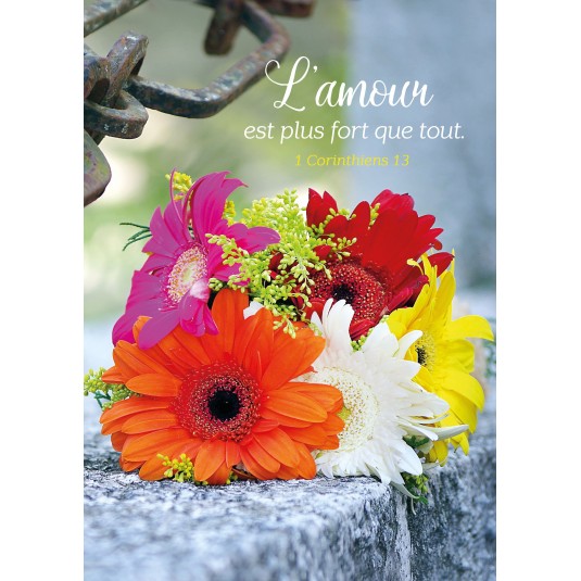 Carte Avec Verset Bouquet De Fleurs Pose Sur Un Muret